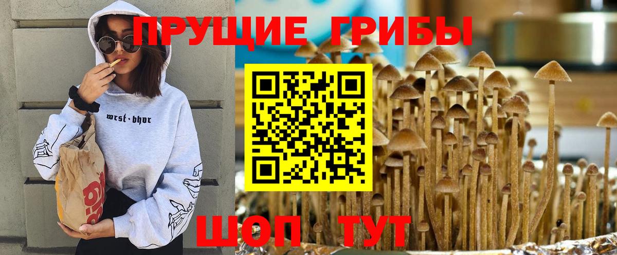 Псилоцибиновые грибы Psilocybine cubensis Воткинск
