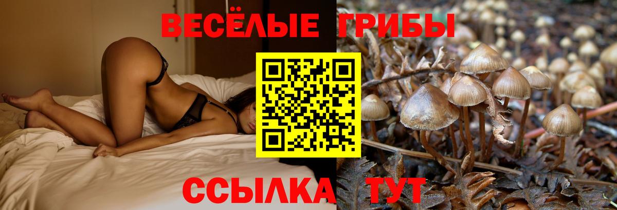 Галлюциногенные грибы ЛСД  Вход с VPN  Воткинск  купить   Галлюциногенные грибы Cubensis 